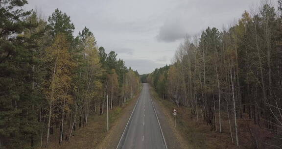 俄罗斯西伯利亚森林平原公路