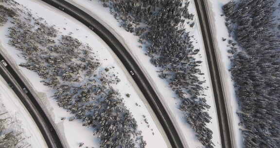 科罗拉多落基山脉积雪覆盖的树木和蜿蜒的道