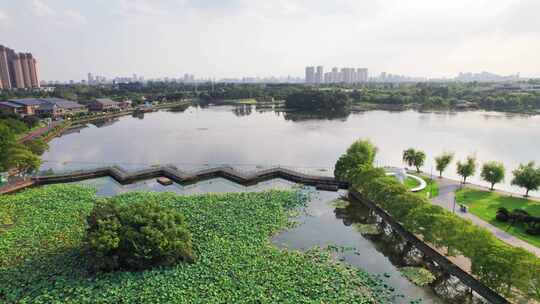 成都北湖生态公园日落黄昏航拍成都公园城市