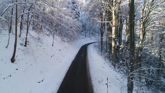 航拍在积雪覆盖的森林中的小路