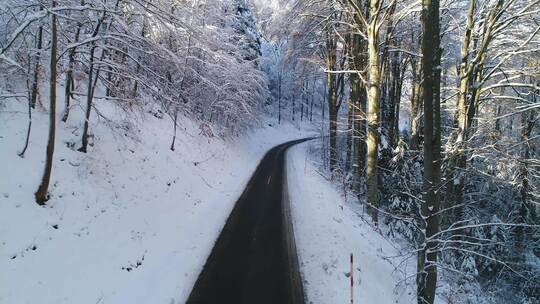 航拍在积雪覆盖的森林中的小路视频素材模板下载