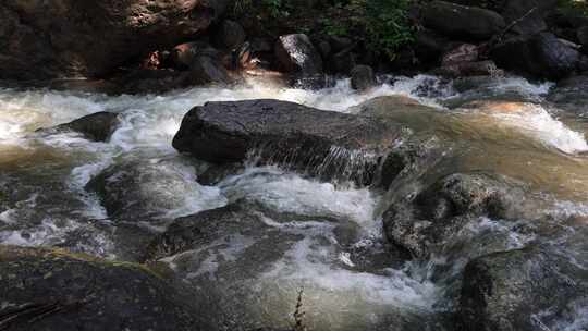 森林中 山泉小溪水