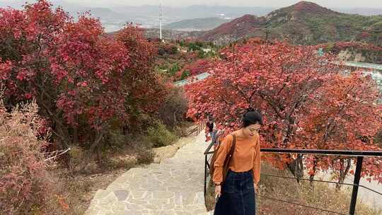 山东淄博博山柿岩古村，秋季满山红叶景观