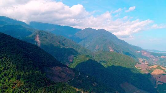 高黎贡山百花岭景区（摄影爱好者打鸟胜地）