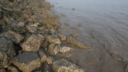 上海海边实拍原素材