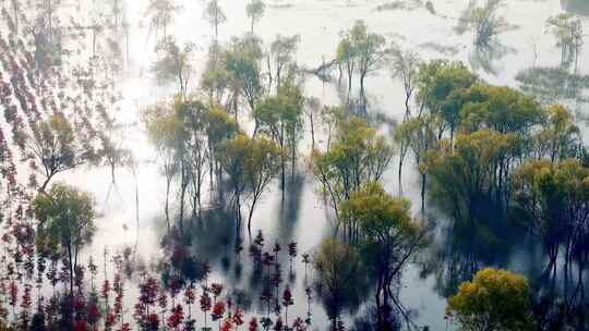 航拍西沙明珠湖景区西沙湿地生态环境