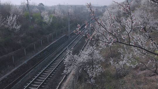 开往春天的列车8K常规视频