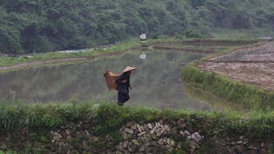 背背篓的农民