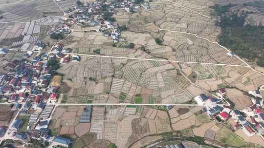 秋收后农田农民种植油菜航拍