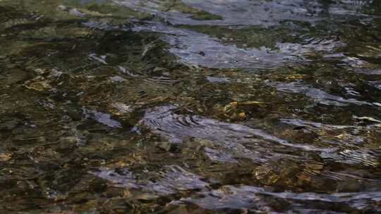 泉水溪水水流水滴滴落升格空镜