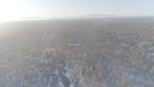 冬季远眺长白山雪景原始森林红松林