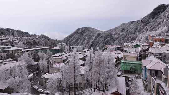 庐山牯岭镇雪景雾凇