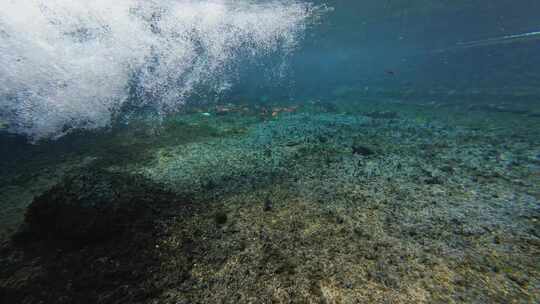 济南黑虎泉锦鲤水下世界