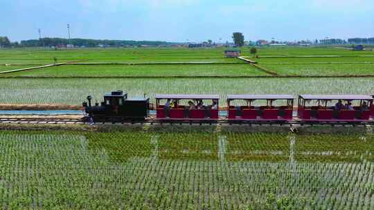 稻田地里行驶的小火车