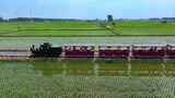 稻田地里行驶的小火车高清在线视频素材下载