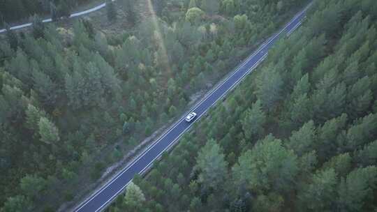 森林公路  航拍开车 航拍 山林驾驶汽车 4k