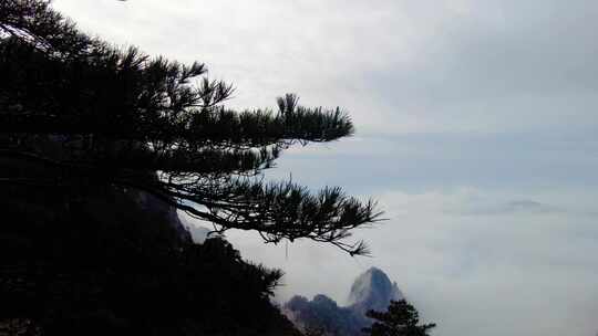 黄山风景区壮观云海延时风景视频素材