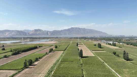 4K宁夏石嘴山市惠农区 农田 乡村 贺兰山