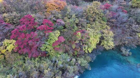 四川九寨沟彩林秋景和蓝色海子