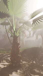 雾森中的棕榈树