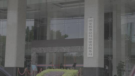 福建省税务局（灰片）