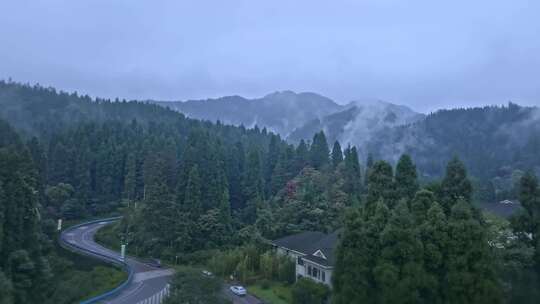 高清实拍眉山洪雅瓦屋山森林