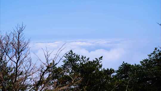 黄山风景区壮观山顶云海延时唯美风景视频素