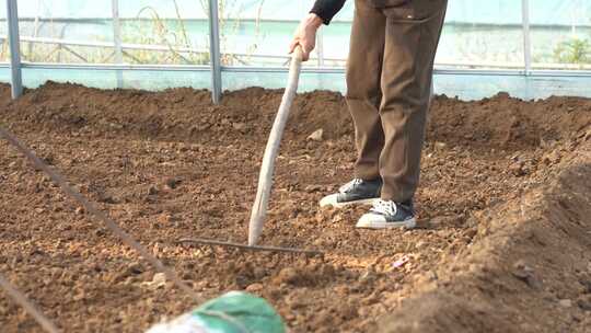 干活 劳作 种地 种菜子 锄地