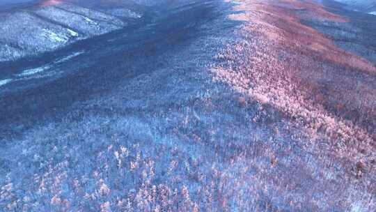 夕阳照耀的大兴安岭林海雪原