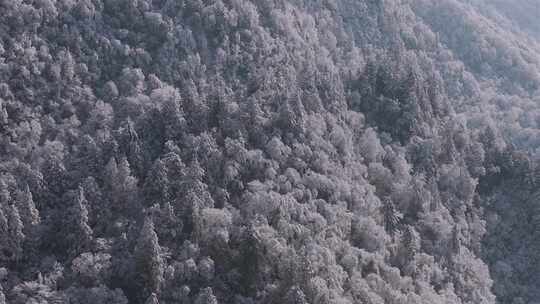 峡谷地貌雪景