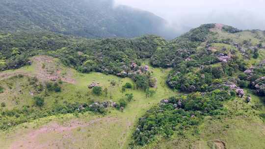 思贺八排顶航拍山花森林景