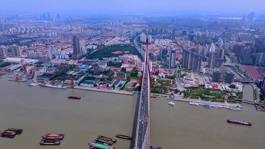 杨浦大桥航拍风光