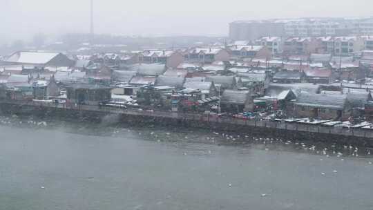 航拍山东荣成烟墩角海草房天鹅雪景