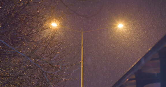 夜晚下大雪