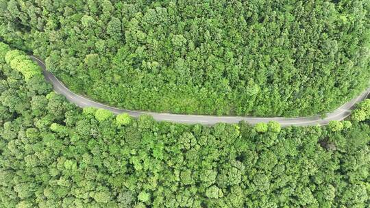 森林公路航拍山路树林道路俯拍林间道路风景