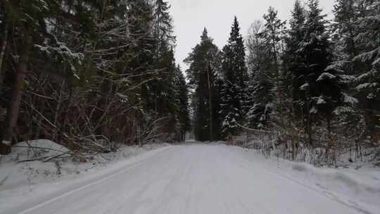 雪域森林上的延时视频。视频素材模板下载