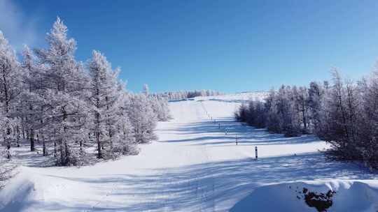 被雪覆盖的森林及林间道路全景