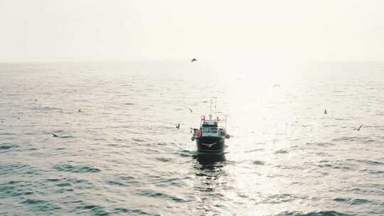 日落时分，一群鸟飞过海岸附近的一艘渔船
