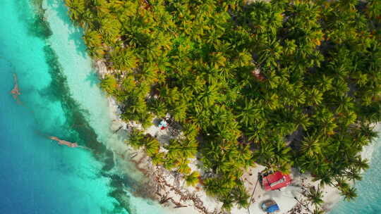 巴拿马圣布拉斯群岛的海滩岛，热带棕榈树被