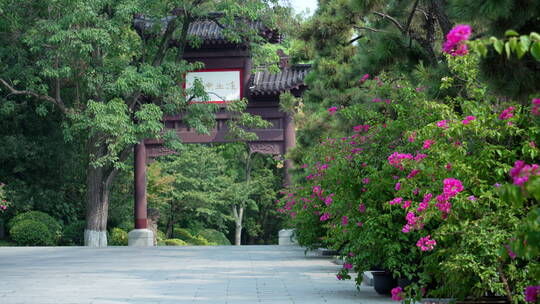 武汉武昌区黄鹤楼公园风景