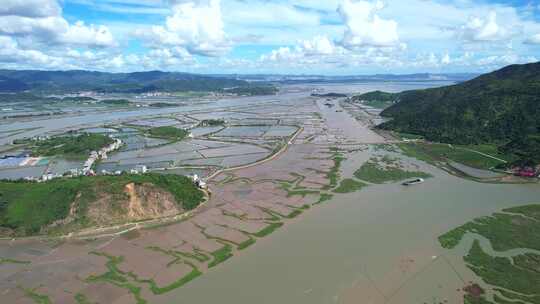 航拍温州乐清雁荡山红树林保护区蓝色海湾