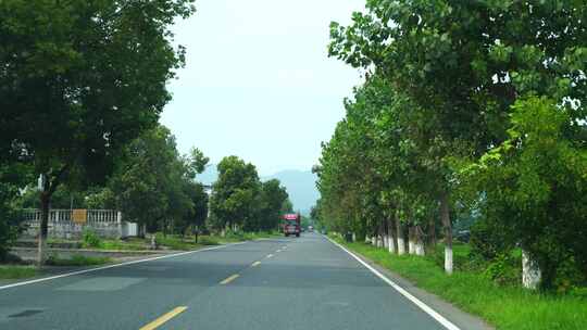 开车行驶林荫小道汽车乡村公路道路驾驶视角