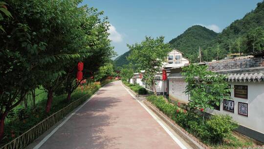 美丽乡村 村庄街道建筑 新农村发展生活