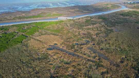 航拍福州闽江河口湿地公园视频素材模板下载