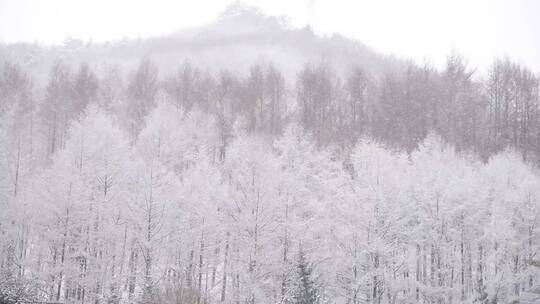 漫天飞雪大雪封山