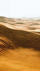 利瓦的沙漠沙丘