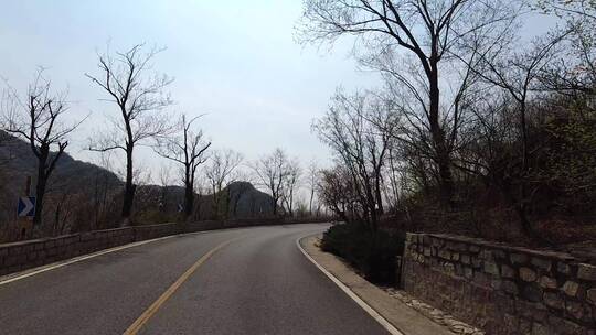 大范围延时春天北京山区公路旁盛开的山杏花视频素材模板下载