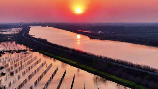 航拍农村夕阳落日河道池塘鸟群春景合集