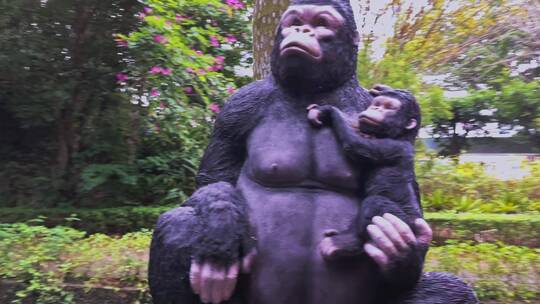 4K高清实拍在树林中穿行偶遇到一只大猩猩
