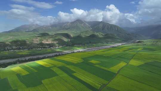 青海祁连县夏塘村油菜花乡村田园航拍风光